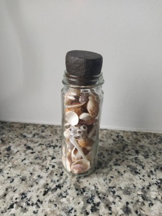 Frasco de Cristal con Conchas Marinas