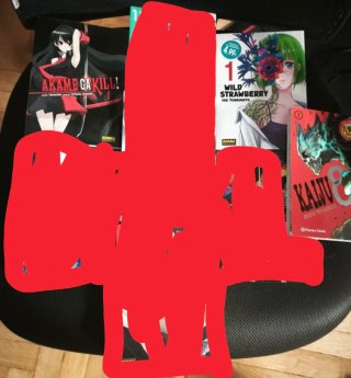 Lote manga, precio por todo el lote