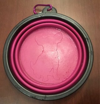 Plato Bebedero Portátil para Perros
