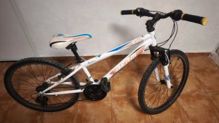 Bicicleta Infantil Berg Blast rueda 24
