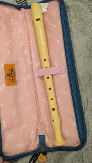Flauta Hohner + Funda Santoro