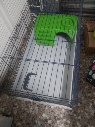 Jaula para Conejo