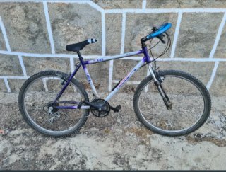 Bicicleta de Montaña 26 pulgadas para revisar