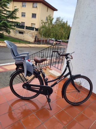 Bicicleta de paseo con silla infantil