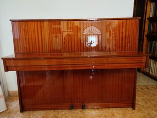 Piano de estudio Eisenberg