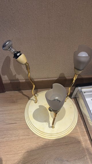 Lámpara de techo con diseño de tulipanes