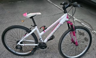 Bicicleta de Montaña MTB