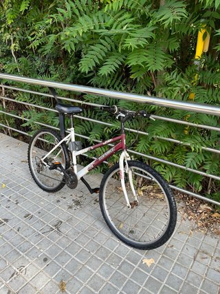 Bicicleta de Montaña Topbike
