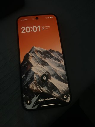 Google Pixel 11 Pro Negro 256GB