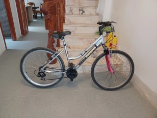 Bicicleta mujer paseo