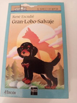 Libro infantil