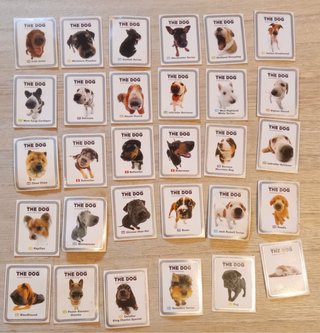 Set de 29 Cartas Coleccionables The Dog
