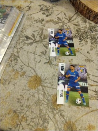 2 Cromos Panini Boselli 2020/21