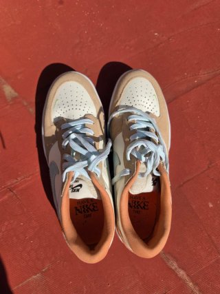 Zapatillas Nike SB Force 58