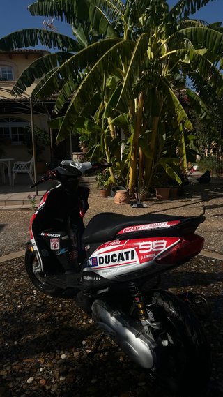 Jog R 49cc