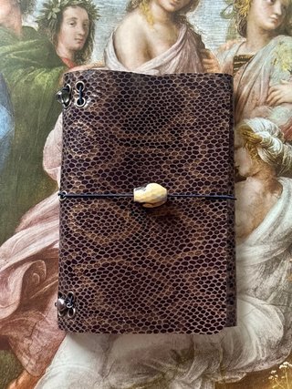 Funda de piel A6 pitón