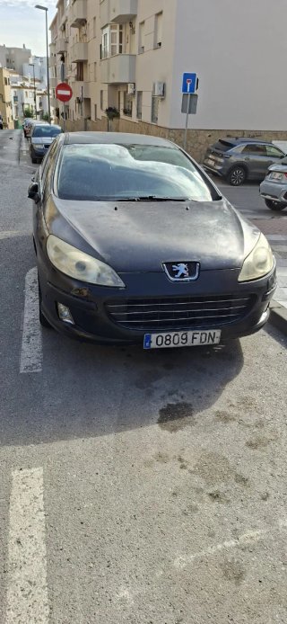 Peugeot 407 2007