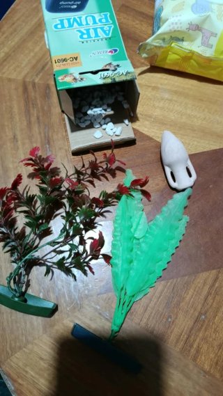 Lote de decoración para acuario