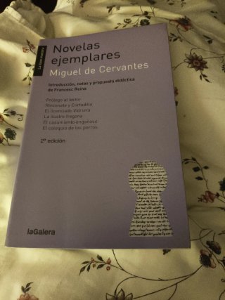 Novelas ejemplares