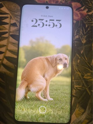 Xiaomi Redmi Note 13 Pro+ 5G 512GB