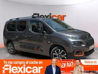 Citroën Berlingo Talla XL BlueHDi 130 S&S EAT8 SHINE