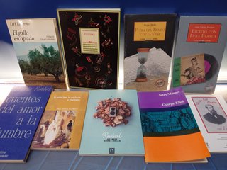 9 libros, FUERA DEL TIEMPO Y DE LA VIDA, EL GALLO ESCAPADO, cuentos del amor a la lumbre y mas