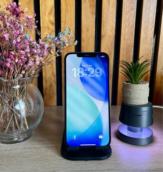 iPhone 12 Pro Max 256GB gris