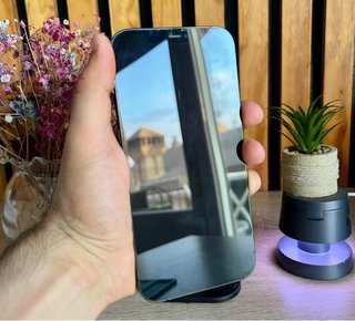 iPhone 12 Pro Max 256GB