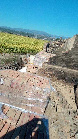 Lote de Ladrillos Recuperados