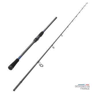 Caña Pesca Señuelos Mar Ilicium-900 240 15-45 g