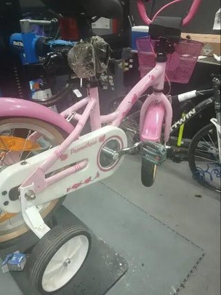 Prometheus 16" rosa