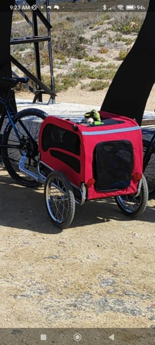 Remolque para perro