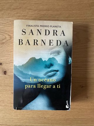 Un océano para llegar a ti