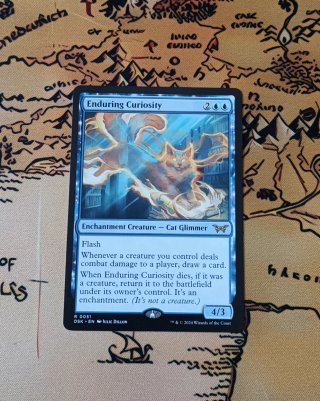 CARTA MAGIC - ENDURING CURIOSITY