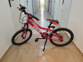 Bicicleta B-PRO 20 Rosa