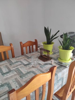 Alquiler de apartamento