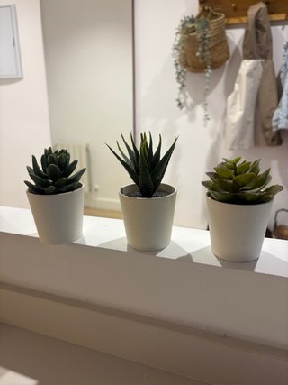 Set de 3 Cactus Artificiales IKEA
