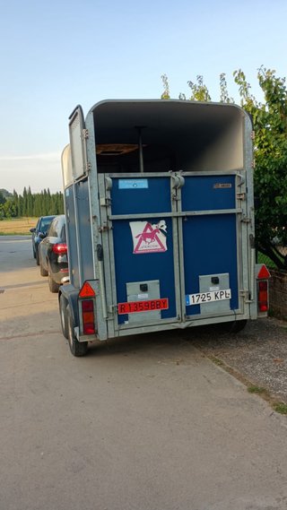 Remolque para caballos Ifor Williams HB505