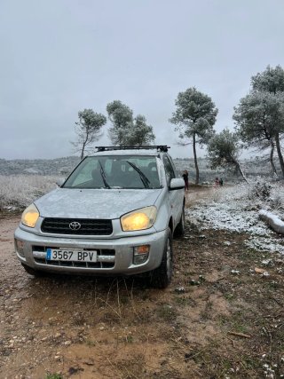 Toyota RAV4 2002
