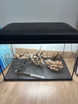 Acuario con Tapa Negra