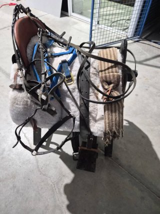 Silla de montar a caballo con accesorios