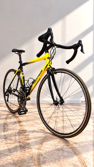 Bicicleta Carretera Triban 7.3 Campagnolo Sport