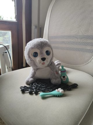Foca Interactiva Fun Real
