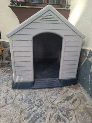 Caseta para Perro Grande