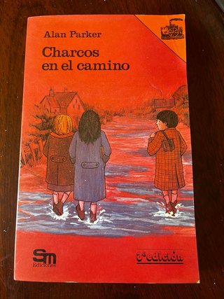 Charcos en el camino