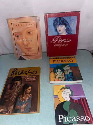 Colección Libros Picasso
