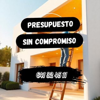 PINTOR PROFESIONAL