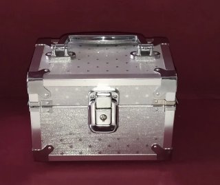 Maletita Plateada con Estampado de Estrellas