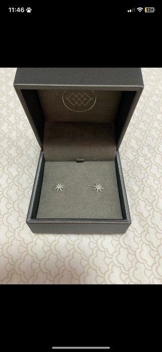 Pendientes de Oro Blanco y Diamante