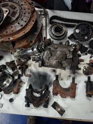 Bomba de aceite e inyectora motor XD3